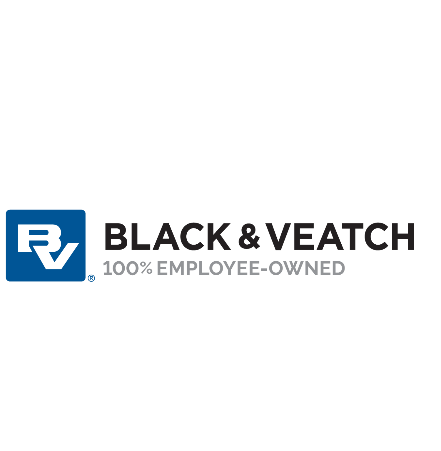 Black And Veatch 2023 Campus Forward Award Winner 